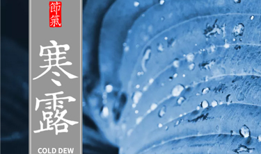 鉴黑担保网(jhdbw)·最具权威唯一维权担保平台